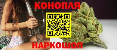 гашик Бузулук