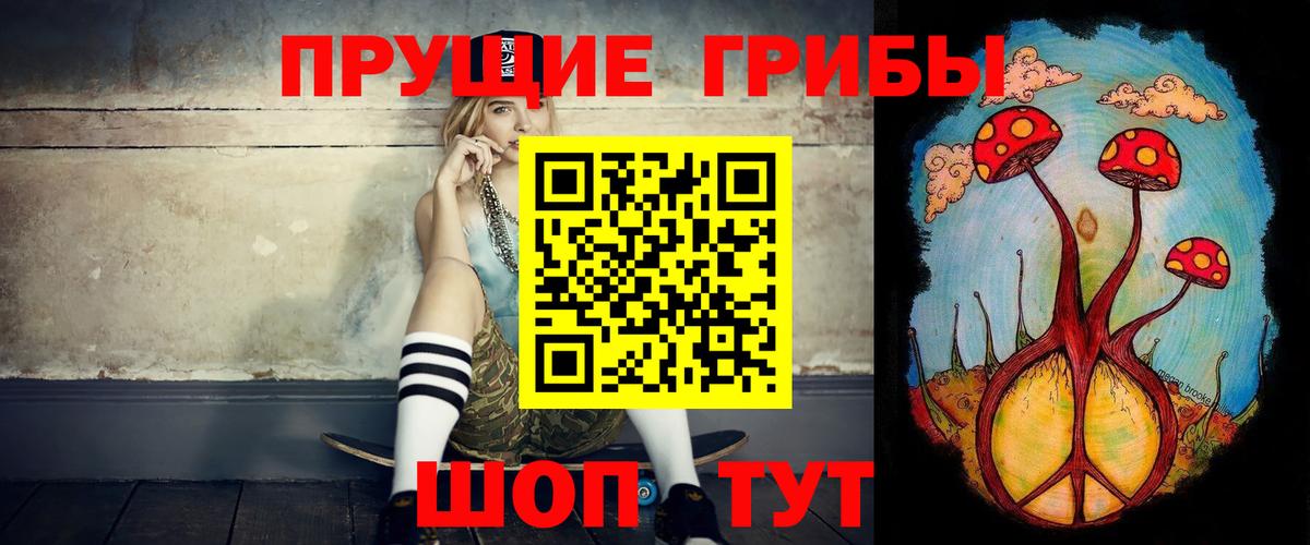 Салехард  Псилоцибиновые грибы прущие грибы  Вход с VPN 